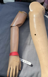 Vintage Prosthetic Leg with Feet "Kingsley Strider" 8 With Bonus Arm!!