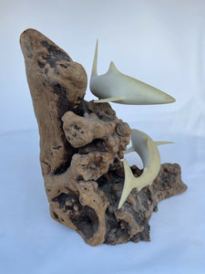 John Perry Carved Balanite Double Swimming Sharks Sculpture on Wood Base B45