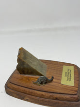 Load image into Gallery viewer, Mounted Coprolite (Fossilized Poop)B51