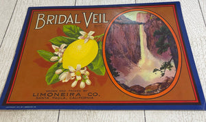 Original Old Bridal Veil Crate Label Santa Paula Yosemite Ventura Vintage Lemon B69