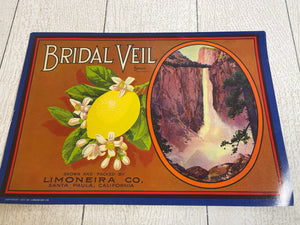 Original Old Bridal Veil Crate Label Santa Paula Yosemite Ventura Vintage Lemon B69