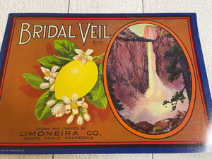 Original Old Bridal Veil Crate Label Santa Paula Yosemite Ventura Vintage Lemon B69