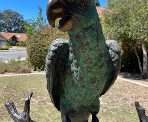 Late 20th Century Monumental Bronze Parrot Sculpture after Jules Moigniez
