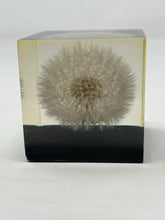 Load image into Gallery viewer, Dandelion Paperweight Block B47
