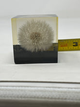 Load image into Gallery viewer, Dandelion Paperweight Block B47